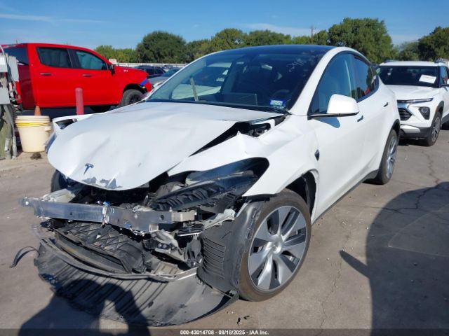 2023 TESLA MODEL Y 7SAYGDEE1PA092418 Photo 1