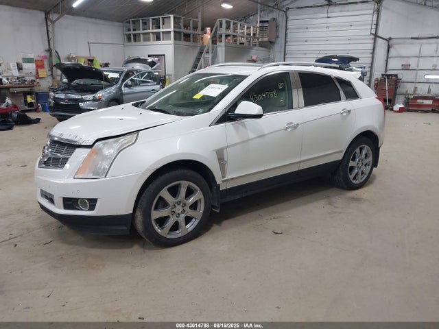 2011 CADILLAC SRX 3GYFNCEY6BS559246 Photo 1