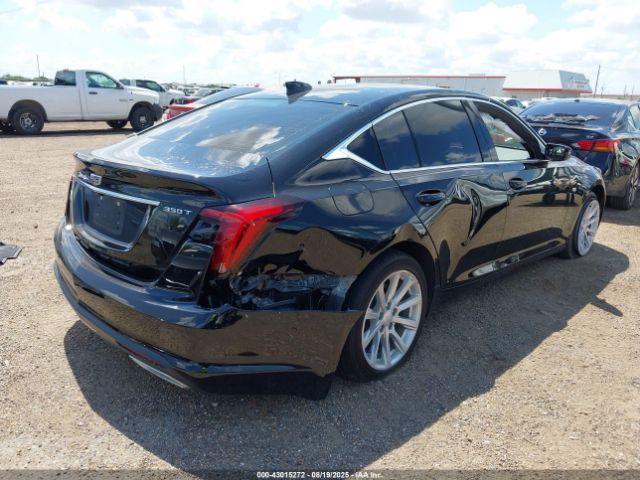 2024 CADILLAC CT5 1G6DM5RK8R0125819 Photo 3