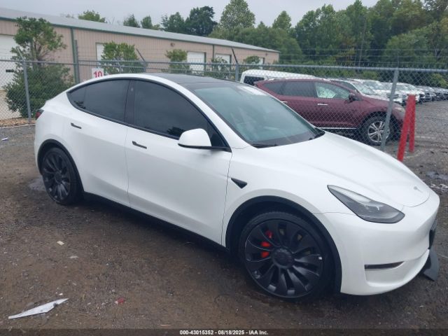 2023 TESLA MODEL Y 7SAYGDEF3PF603431