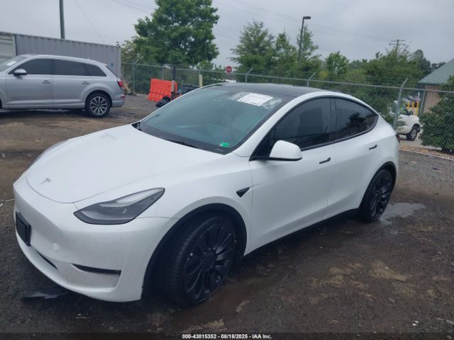 2023 TESLA MODEL Y 7SAYGDEF3PF603431 Photo 1