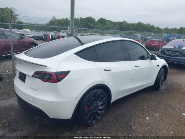 2023 TESLA MODEL Y 7SAYGDEF3PF603431 Photo 3