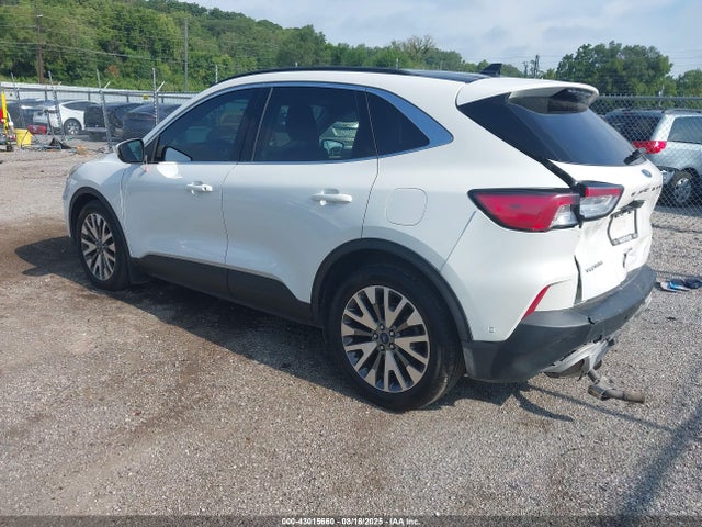 Ford Escape 2020 1FMCU0DZ1LUA10524 Image 3
