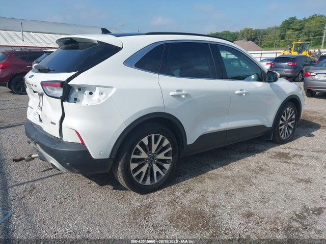 Ford Escape 2020 1FMCU0DZ1LUA10524 Image 4