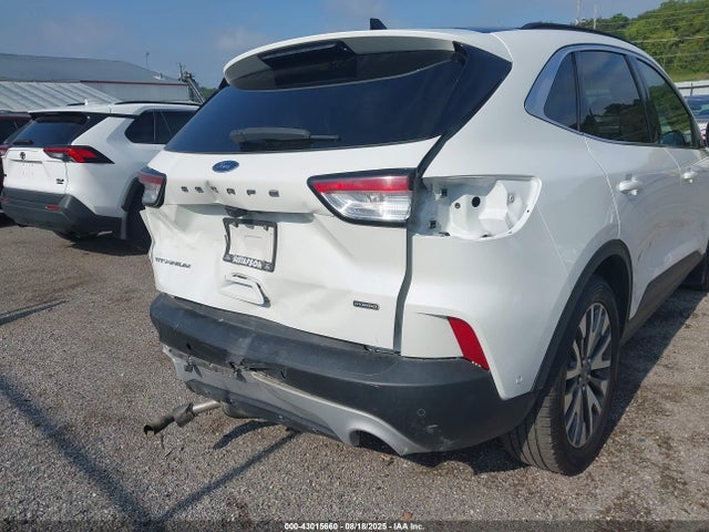 Ford Escape 2020 1FMCU0DZ1LUA10524 Image 6
