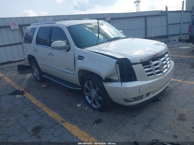 2013 CADILLAC ESCALADE 1GYS3AEF4DR169209 Photo 0