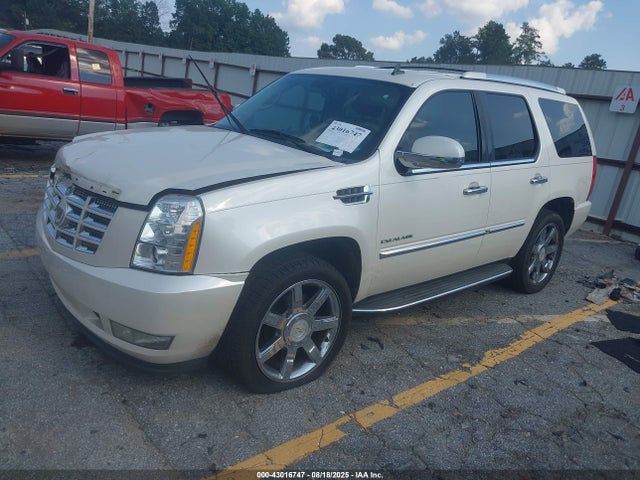2013 CADILLAC ESCALADE 1GYS3AEF4DR169209 Photo 1