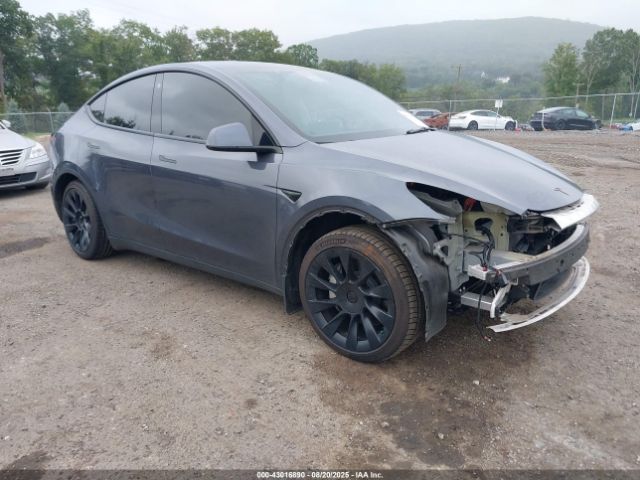 2023 TESLA MODEL Y 7SAYGDEE3PF696104 Photo 0