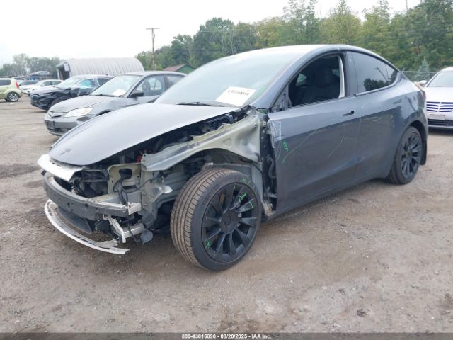 2023 TESLA MODEL Y 7SAYGDEE3PF696104 Photo 1