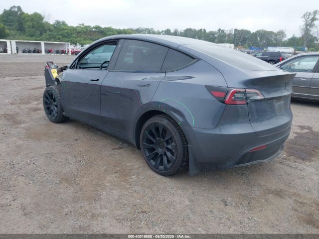 2023 TESLA MODEL Y 7SAYGDEE3PF696104 Photo 2