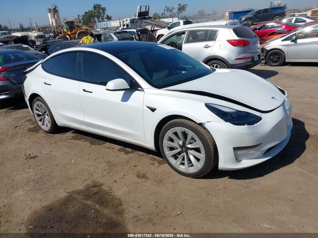 2023 TESLA MODEL 3 5YJ3E1EA1PF553404 Photo 0