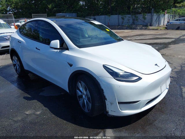 2023 TESLA MODEL Y 7SAYGAEE5PF686544 Photo 0