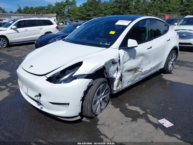 2023 TESLA MODEL Y 7SAYGAEE5PF686544 Photo 1