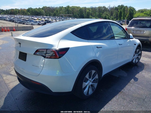 2023 TESLA MODEL Y 7SAYGAEE5PF686544 Photo 3