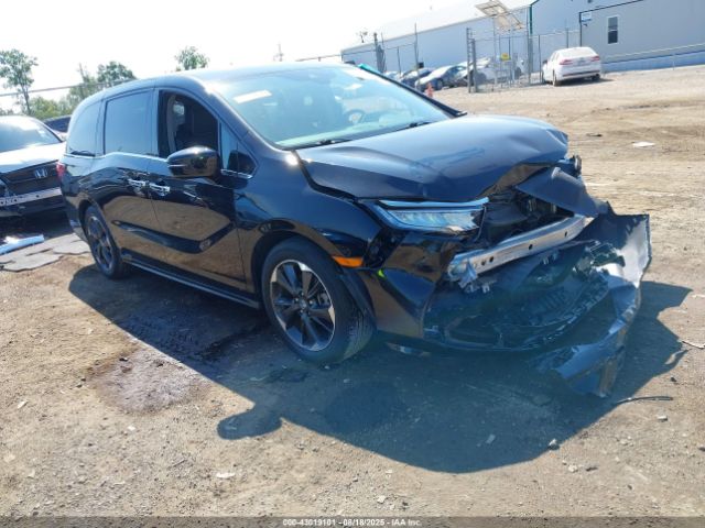 2023 HONDA ODYSSEY 5FNRL6H95PB065474