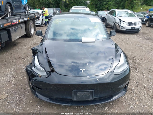 Tesla 2023 2023 5YJ3E1EB3PF629858 Image 12