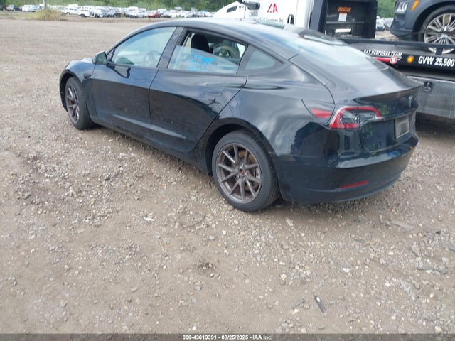 2023 TESLA MODEL 3 5YJ3E1EB3PF629858 Photo 2