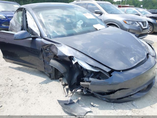 2023 TESLA MODEL 3 5YJ3E1EA7PF593552 Photo 5