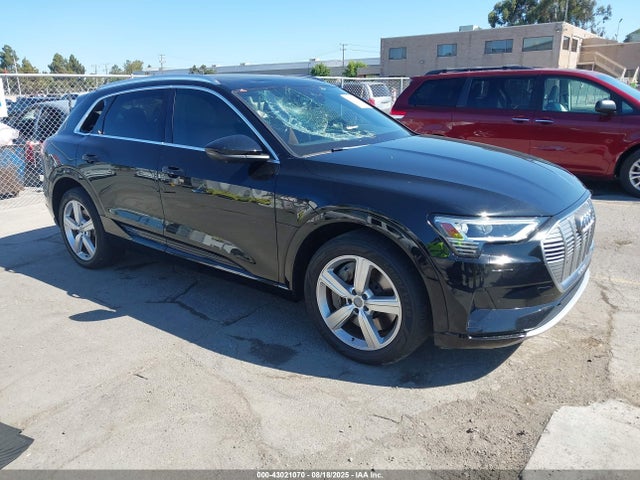 2019 AUDI E-TRON WA1LABGE4KB021247 Photo 0