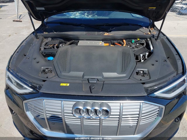 2019 AUDI E-TRON WA1LABGE4KB021247 Photo 9