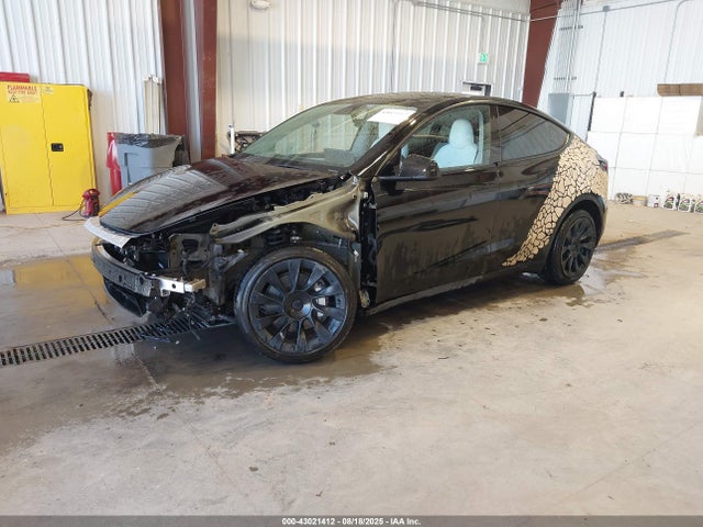 2023 TESLA MODEL Y 7SAYGDEE1PA105815 Photo 1