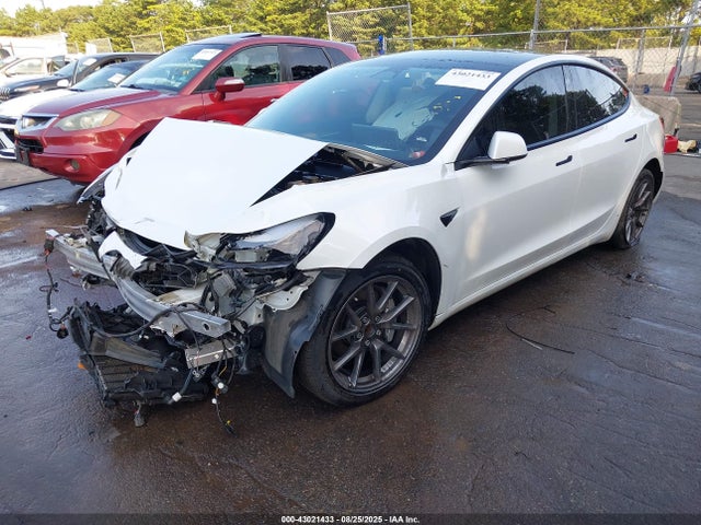 2022 TESLA MODEL 3 5YJ3E1EA1NF323603 Photo 1