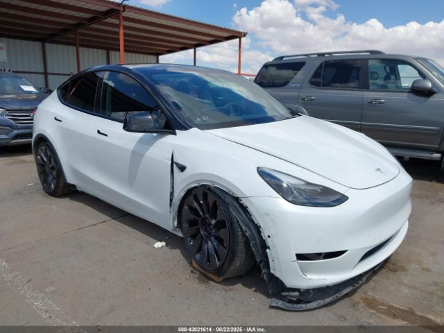 2021 TESLA MODEL Y 5YJYGDEF5MF124498 Photo 0