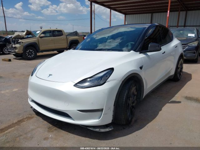2021 TESLA MODEL Y 5YJYGDEF5MF124498 Photo 1