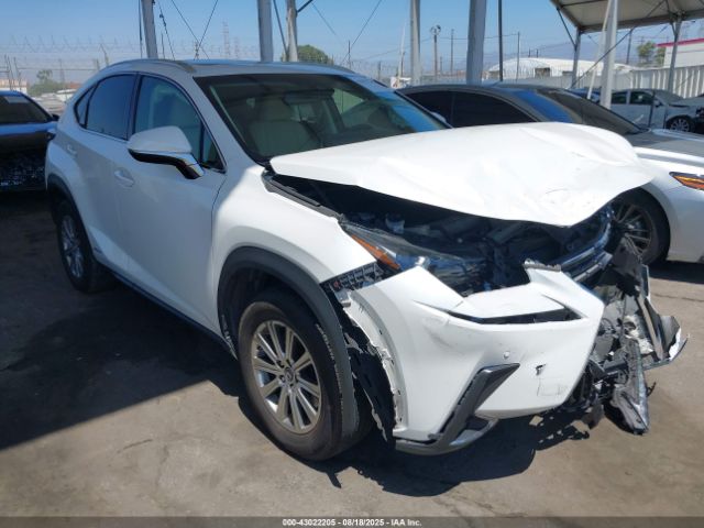 2019 LEXUS NX 300H JTJBJRBZ7K2123627