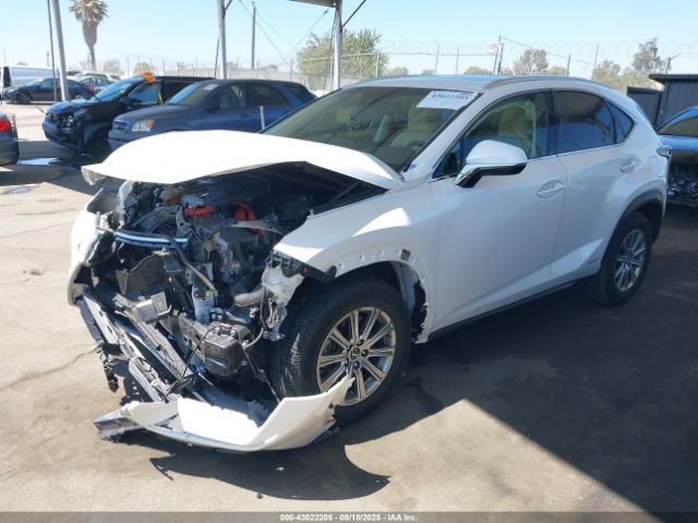 2019 LEXUS NX 300H JTJBJRBZ7K2123627 Photo 1