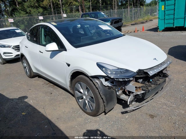 2022 TESLA MODEL Y 7SAYGAEE2NF316018 Photo 0