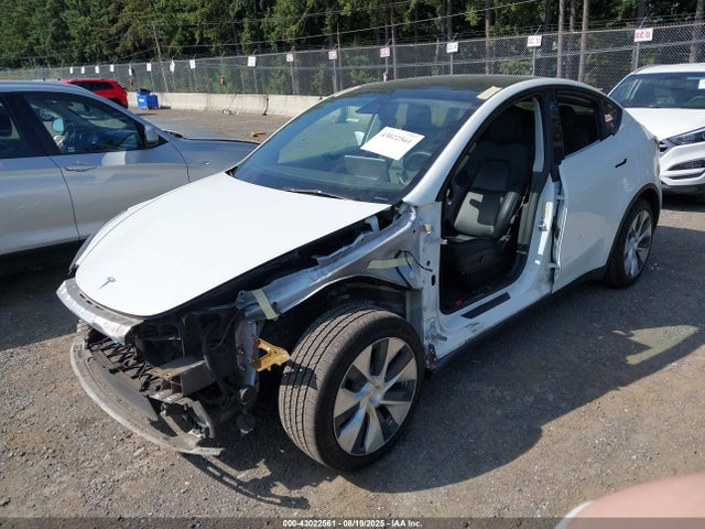 2022 TESLA MODEL Y 7SAYGAEE2NF316018 Photo 1