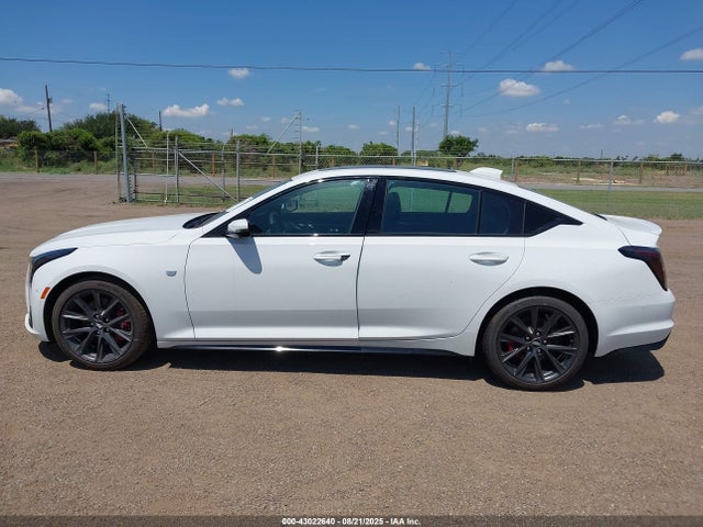 1G6DP5RK3S0106690 Cadillac lsy