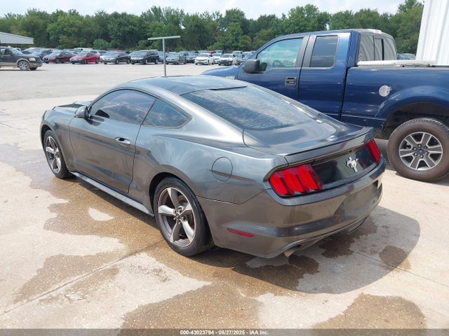 Ford Mustang 2016 1FA6P8AM3G5256156 Image 3