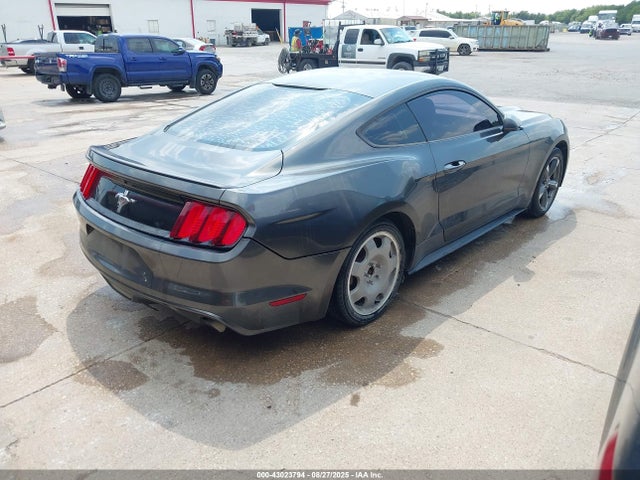 Ford Mustang 2016 1FA6P8AM3G5256156 Image 4