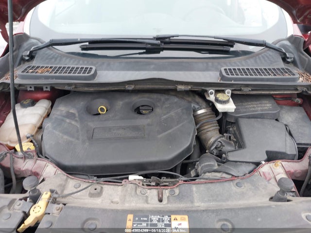 Ford Escape 2014 1FMCU0G95EUD25616 Image 10