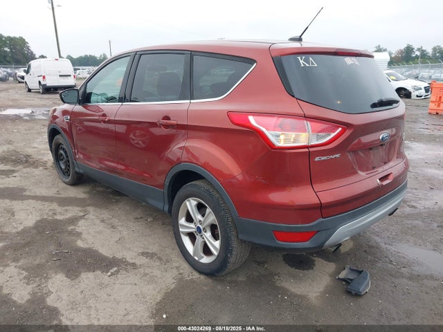 Ford Escape 2014 1FMCU0G95EUD25616 Image 3