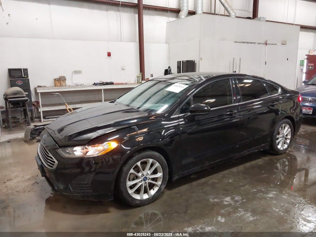 Ford 2019 2019 3FA6P0HD6KR173303 Image 2