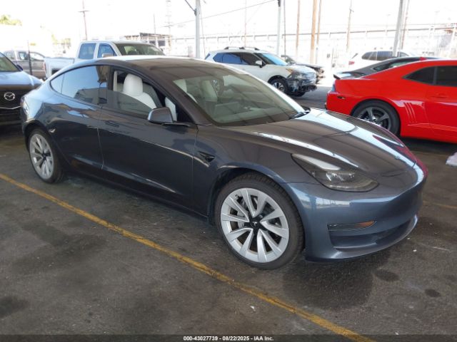 2023 TESLA MODEL 3 5YJ3E1EA6PF655118 Photo 0