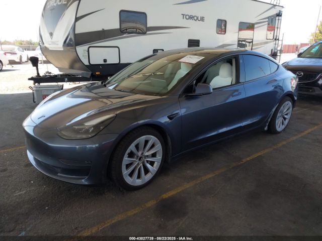 2023 TESLA MODEL 3 5YJ3E1EA6PF655118 Photo 1