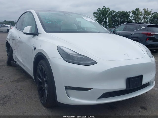 2023 TESLA MODEL Y 7SAYGAEE5PF664625 Photo 0