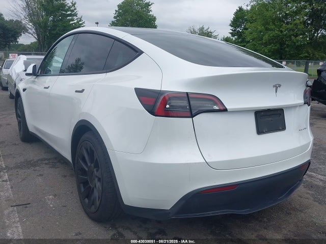 2023 TESLA MODEL Y 7SAYGAEE5PF664625 Photo 2