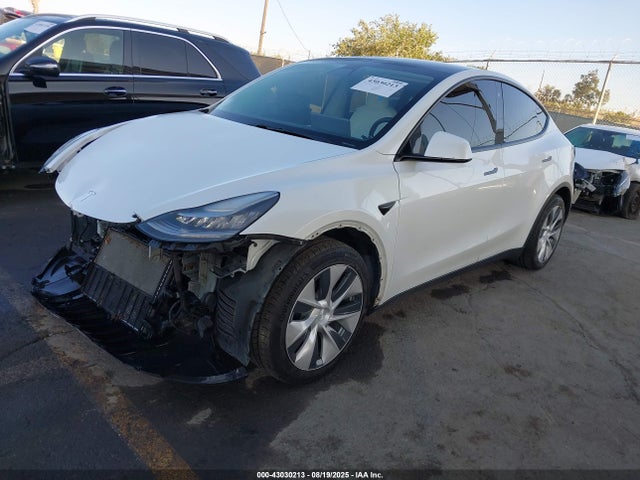 5YJYGDEEXLF018019 Tesla Model Y