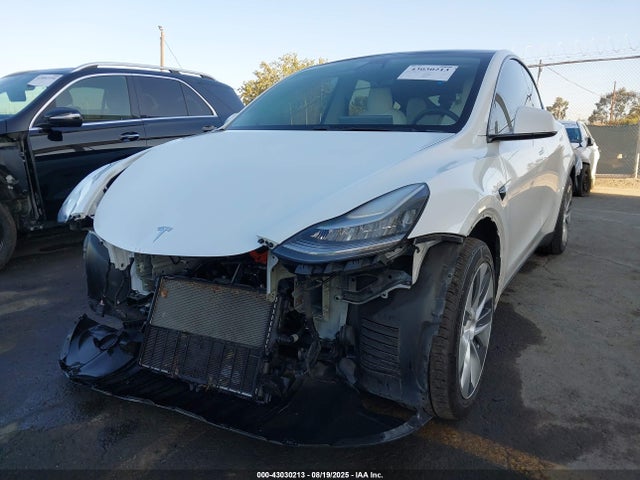5YJYGDEEXLF018019 Tesla Model Y