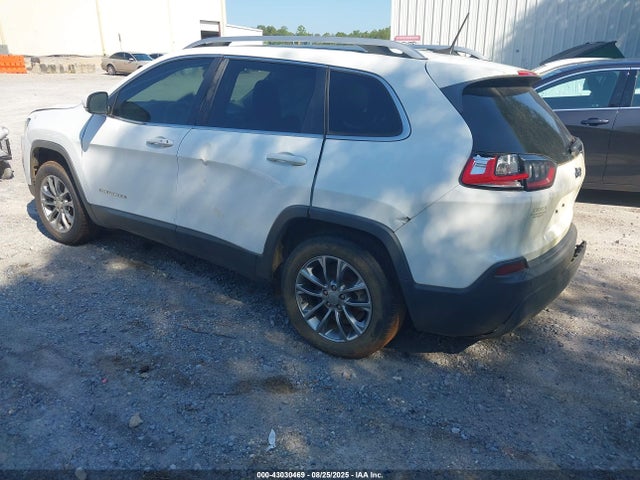 Jeep 2019 2019 1C4PJLLB8KD332287 Image 3