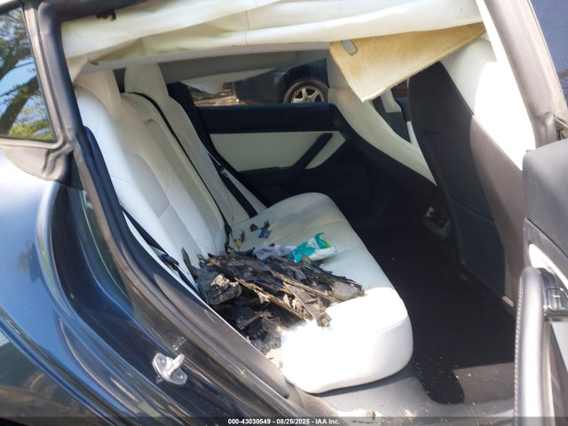 2019 TESLA MODEL 3 5YJ3E1EB5KF464789 Photo 7
