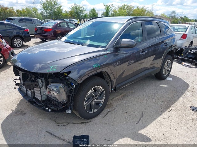 2025 HYUNDAI TUCSON HYBRID KM8JBDD18SU310543 Photo 1