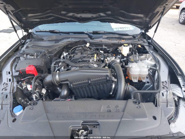 Ford 4v 2025 1FA6P8TH6S5104512 Image 10