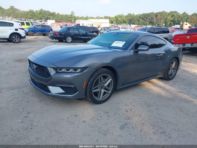 Ford 4v 2025 1FA6P8TH6S5104512 Image 2