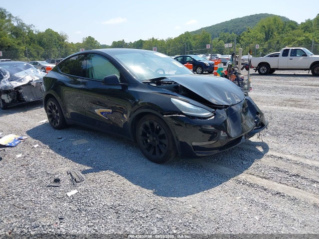 2021 TESLA MODEL Y 5YJYGDEE0MF204086 Photo 0